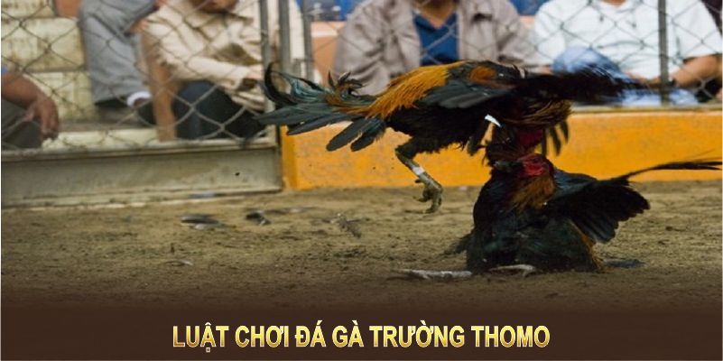 Luật chơi đơn giản nhưng sức hút thì không kém các loại hình khác