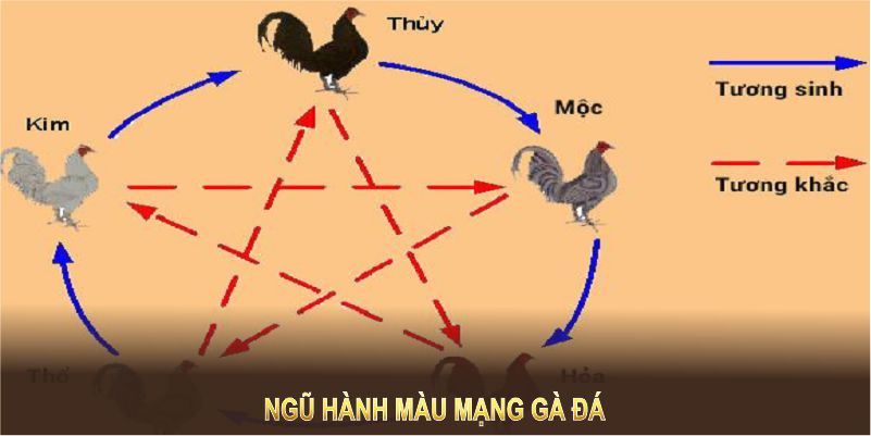 Dựa vào ngũ hành màu mạng gà đá giúp bạn tăng chiến lược cược.